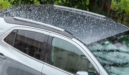 Hail Damage